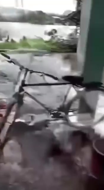 Thật xót xa. Ở Phú Yên, hai ông bà đã già kêu cứu suốt hai ngày vì đói khát, vì không có ai hỗ trợ giữa lúc bão lũ cô lập. Đến khi người ta tìm được đường vào, thì cả hai đã không còn nữa.