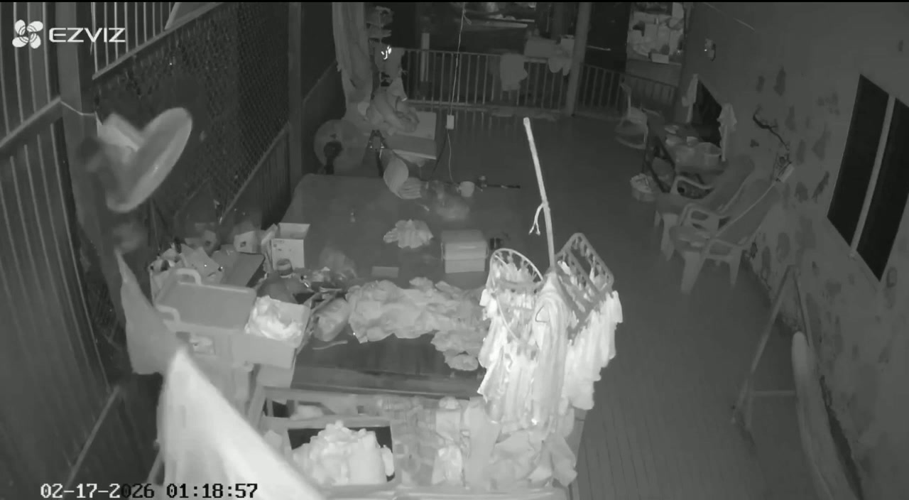 Xã Vĩnh Hưng – Tây Ninh con rể lao vào nhà đâm tử vong bố vợ ngày mùng 1 tết