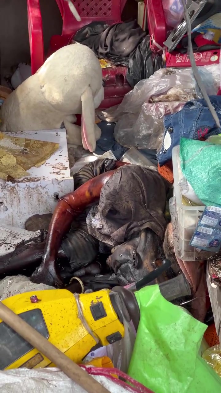 An Giang: Phát hiện 1 shark ng đang phanhuy nặnq. Cân nhắc khi xem